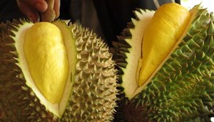 10 TÁC DỤNG TUYỆT VỜI CỦA SẦU RIÊNG SẼ LÀM BẠN "BẤT NGỜ"